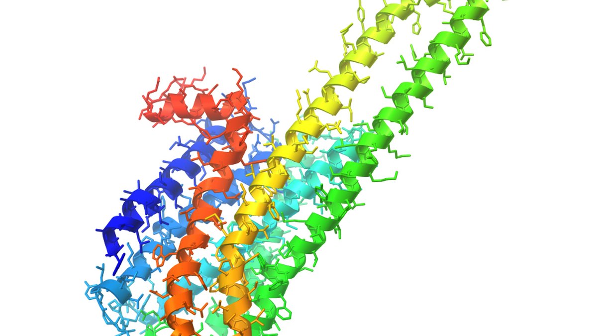 Three-dimensional protein structure model — the geometry rational sequence engineering tunes for incretin receptor selectivity; context for the NA-931 external frontier case